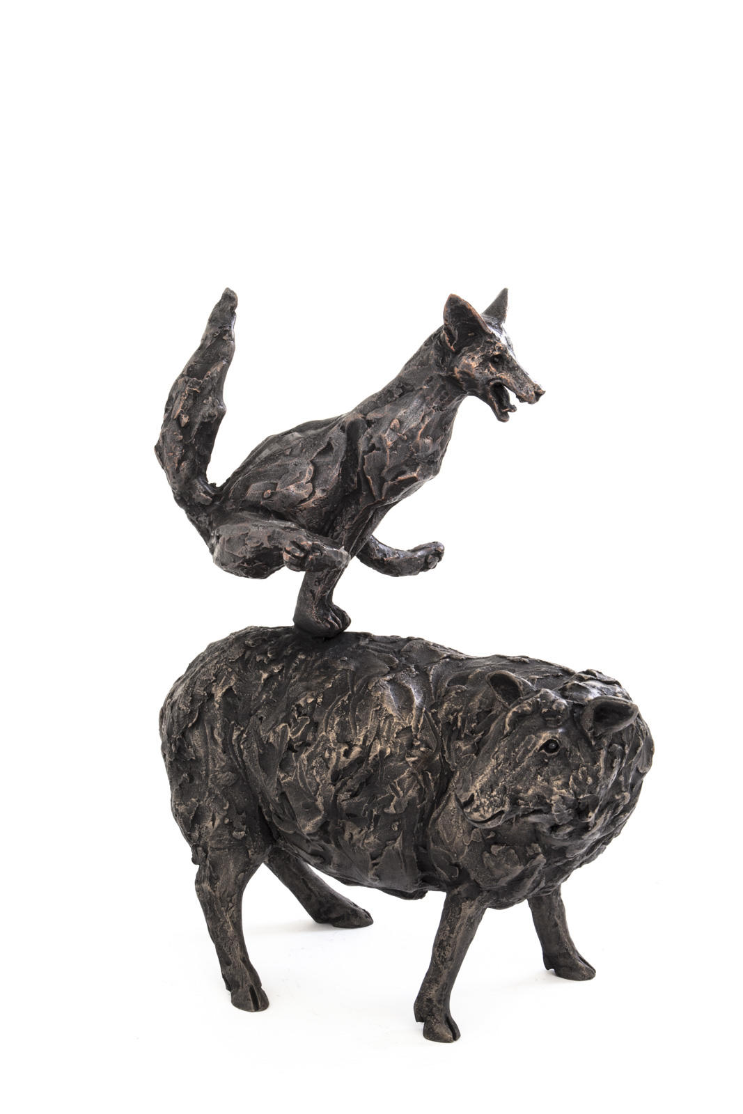 Small Fox Leapfrogging A Sheep