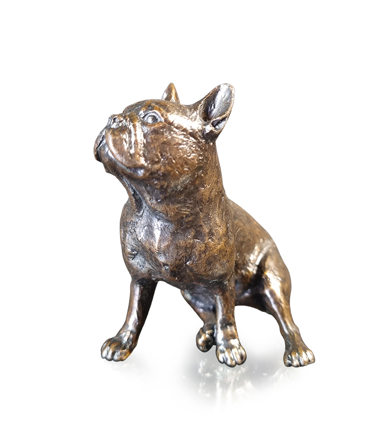 Small French Bulldog Dog (1230)