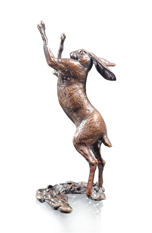 Small Hare Boxing (1234)