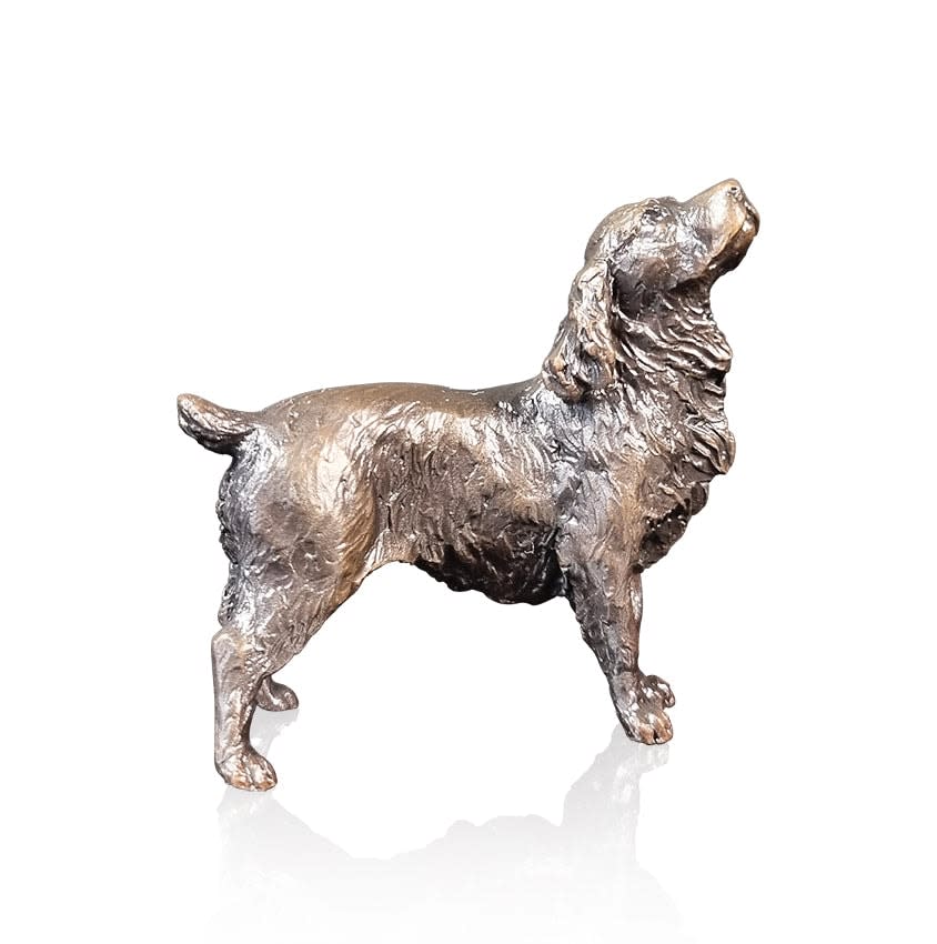 Small Cocker Spaniel Dog Looking Up (1196)