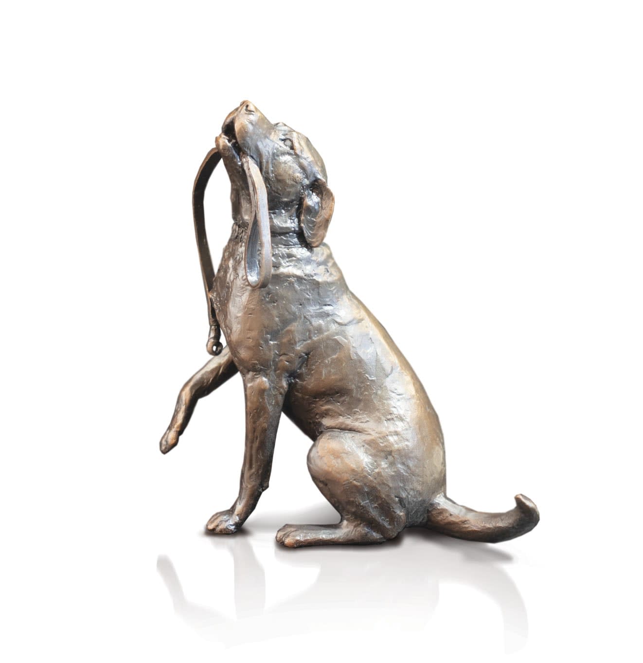 Medium Labrador Dog with Lead (1198)