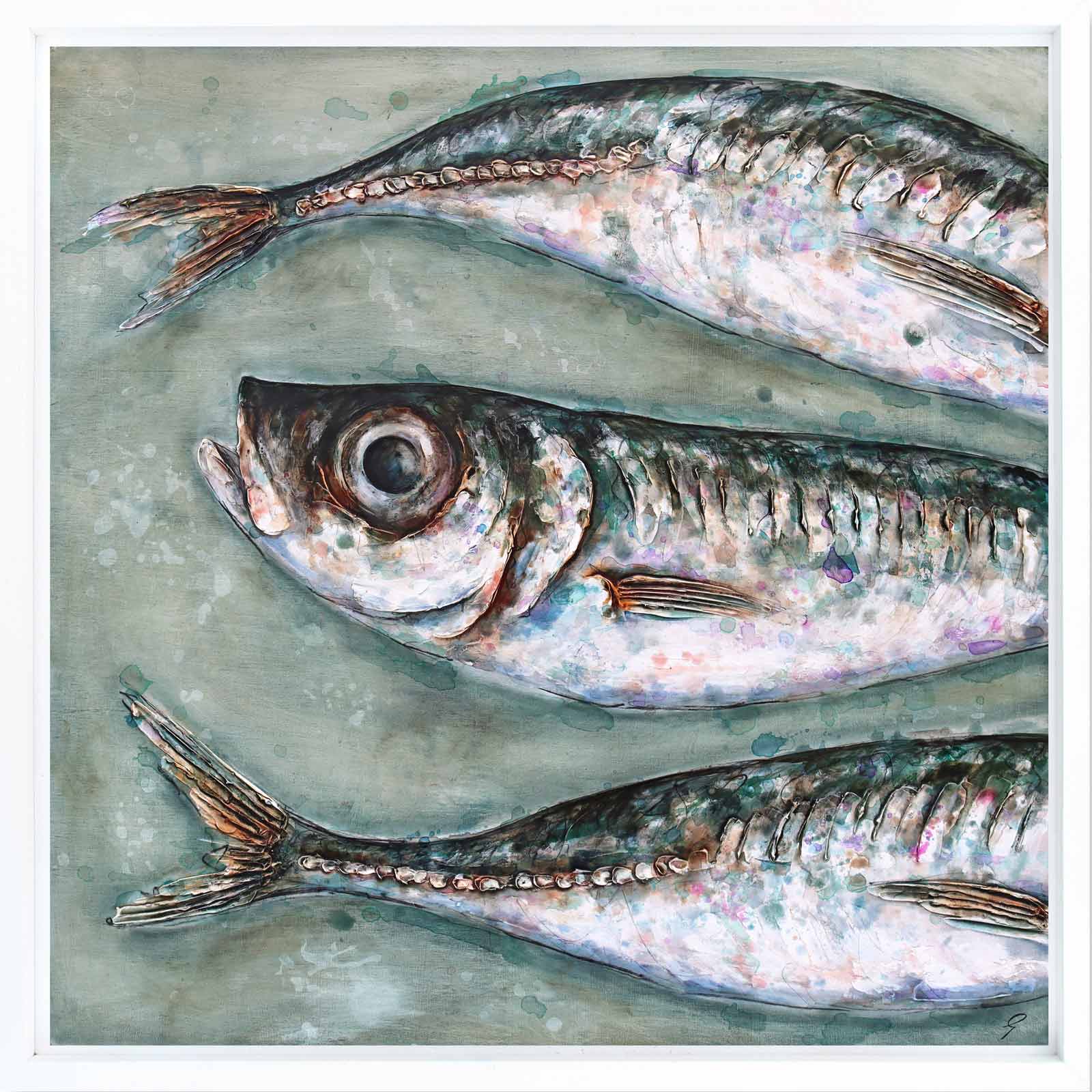 Three Large Mackerel Scad