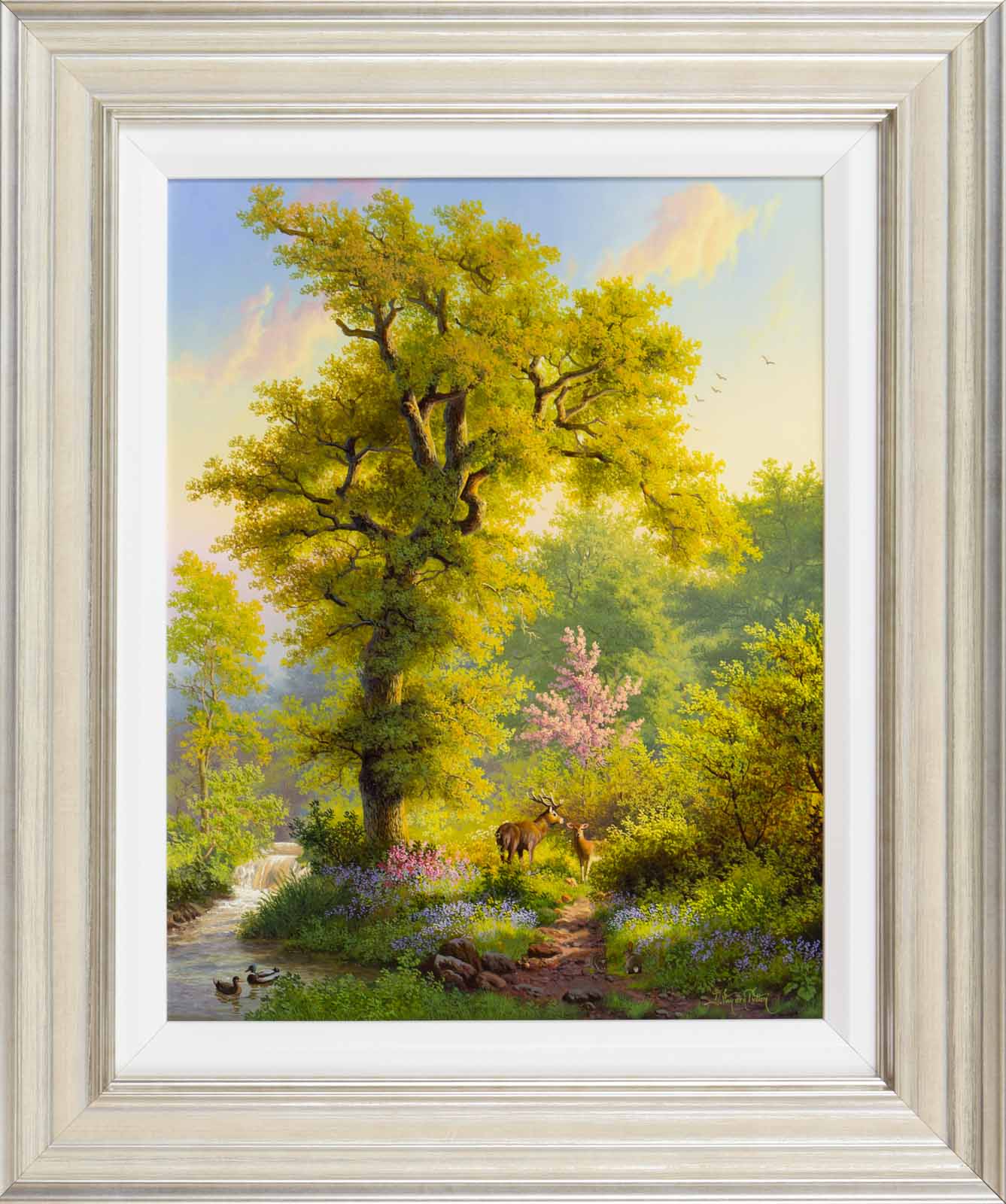 Spring Time in Bluebell Woods