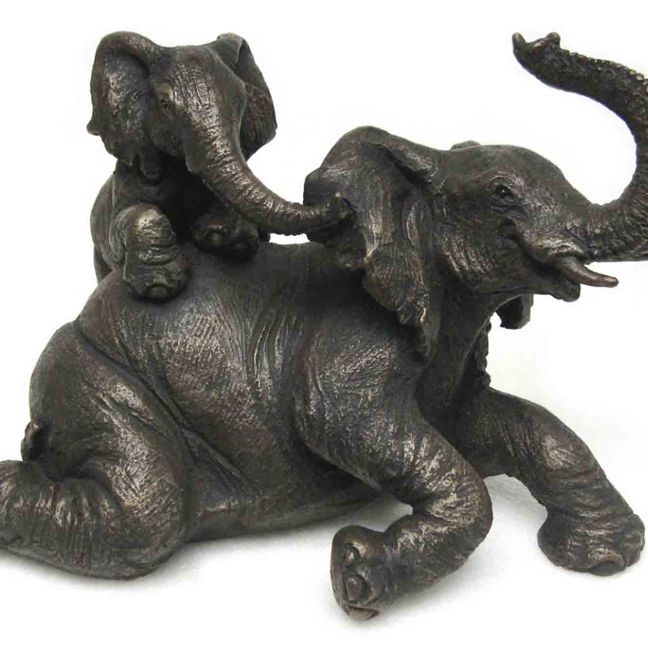 Suzie Marsh Wildlife