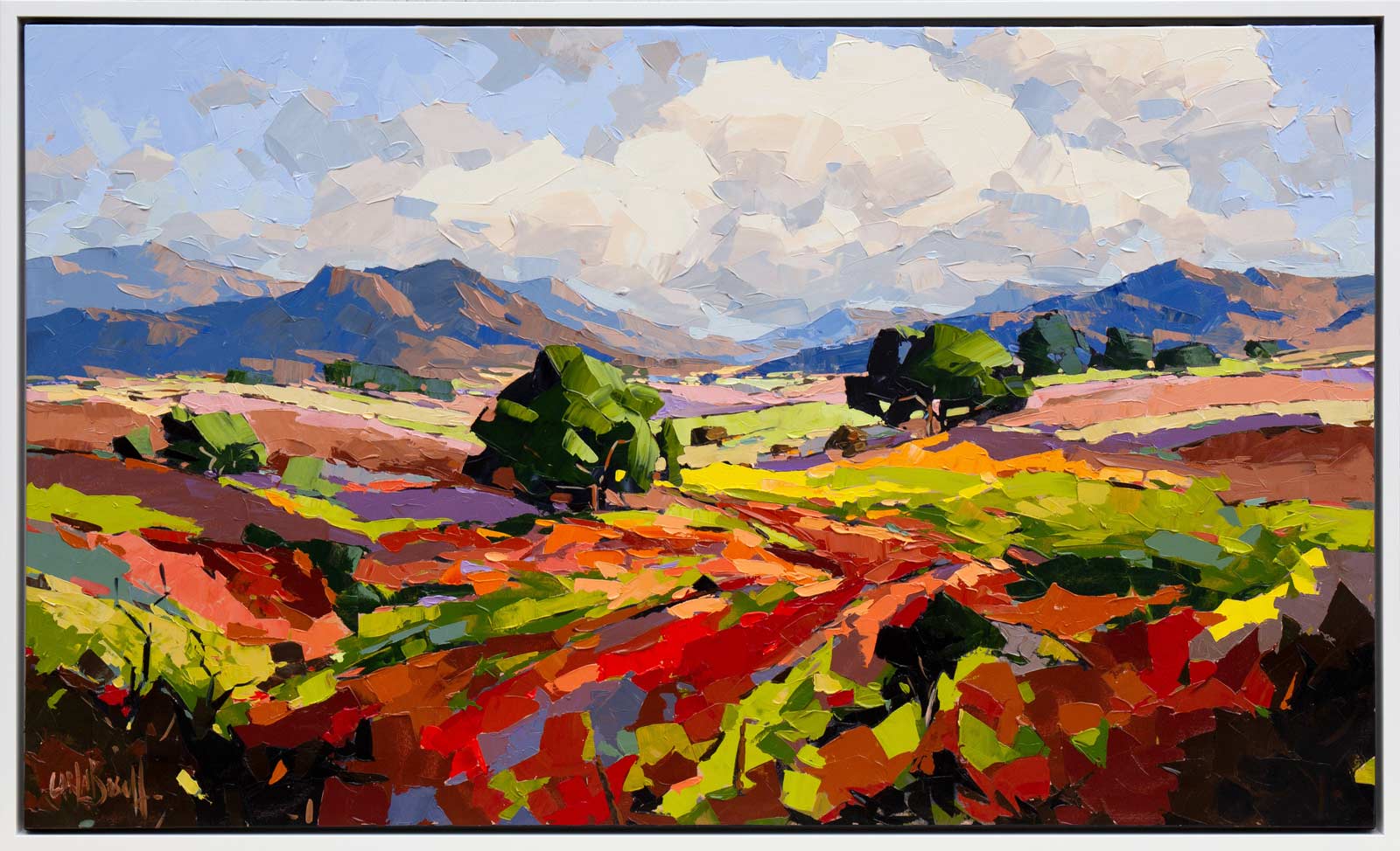 Nature’s Symphony of Colour