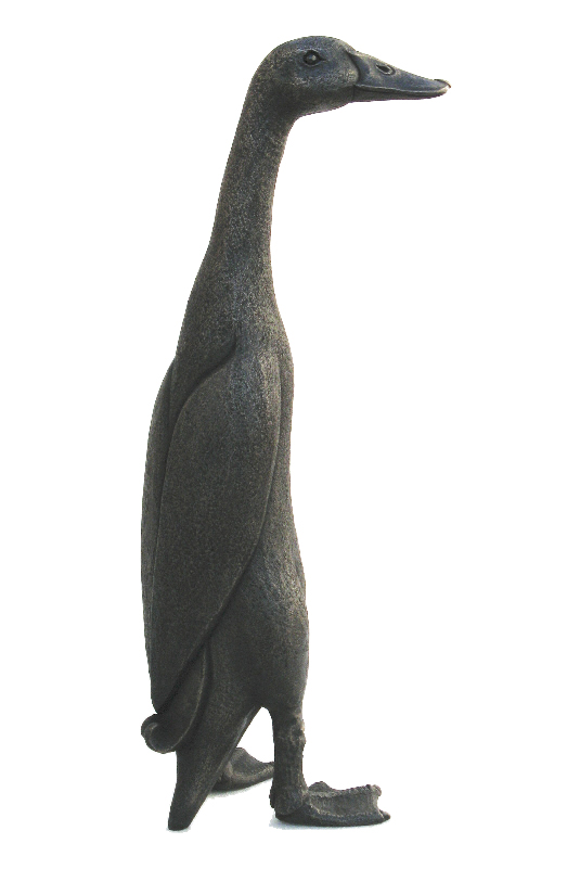 Gerald, Large Indian Runner Duck