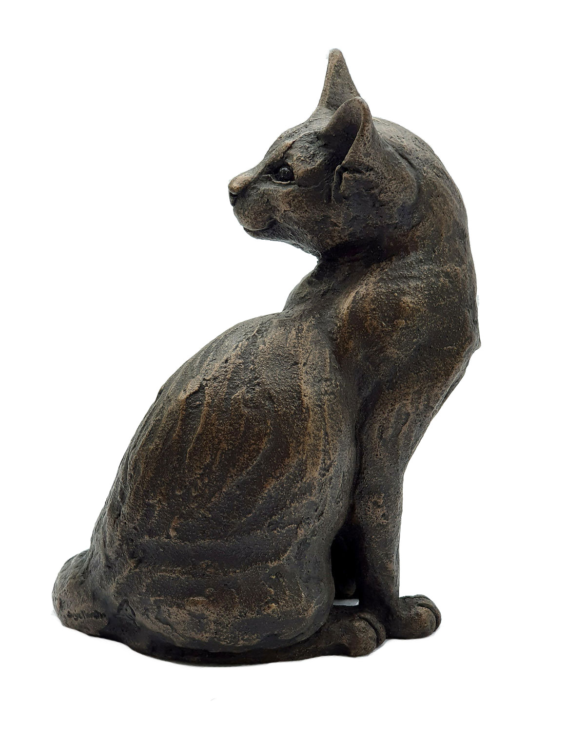 Lucia, Cat Sitting Looking Round