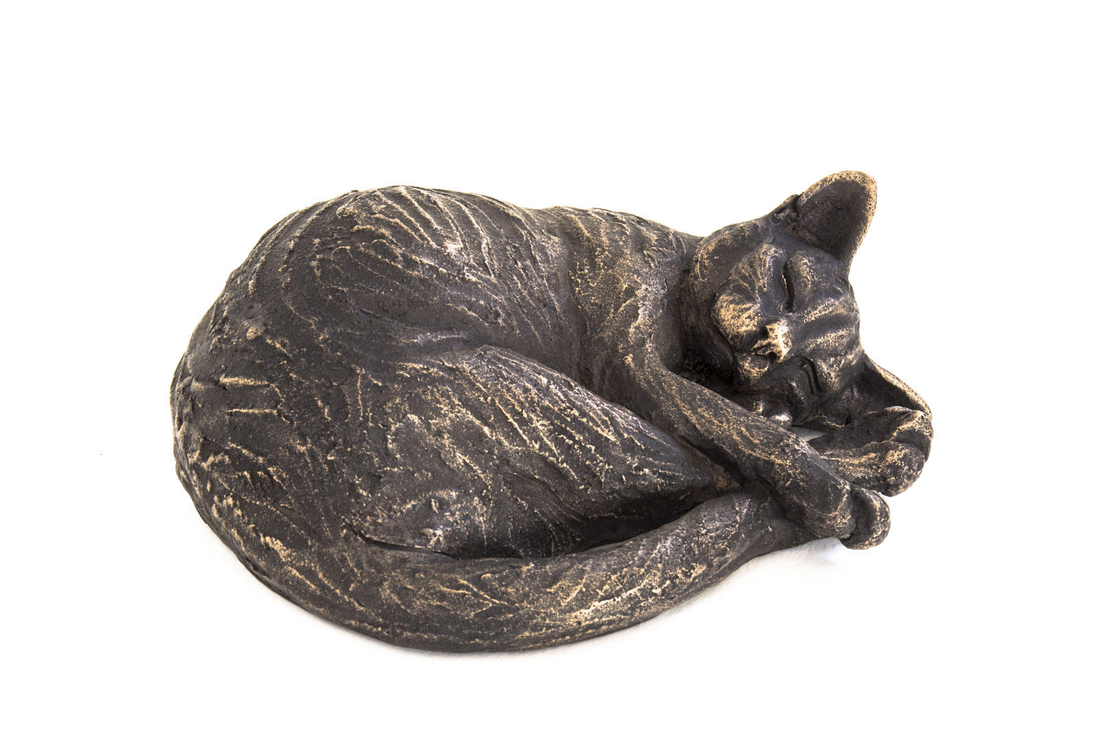 Maxi, Cat Curled Up Sleeping