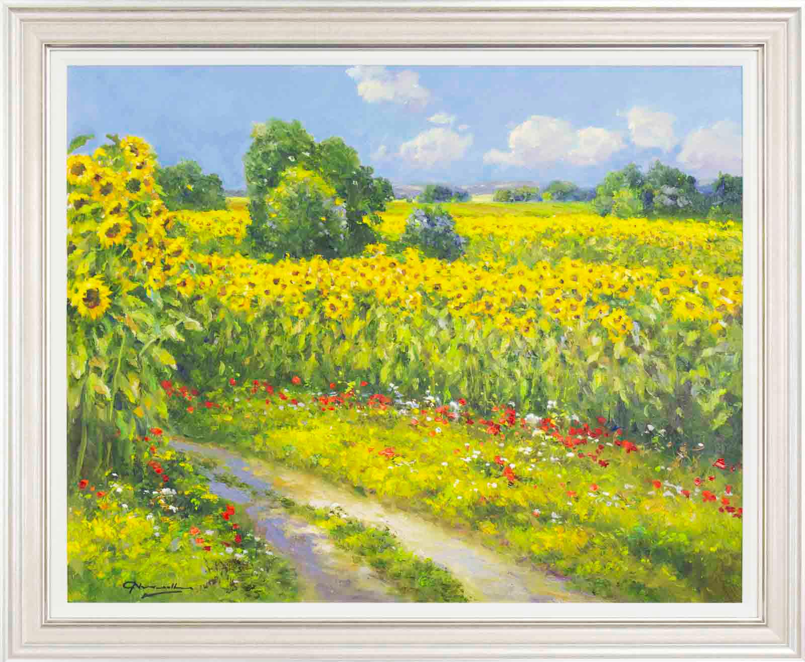 Sunflower Fields