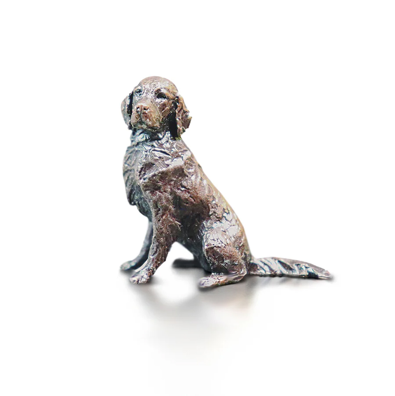 Miniature Bronze Retriever Dog Sitting (2087)