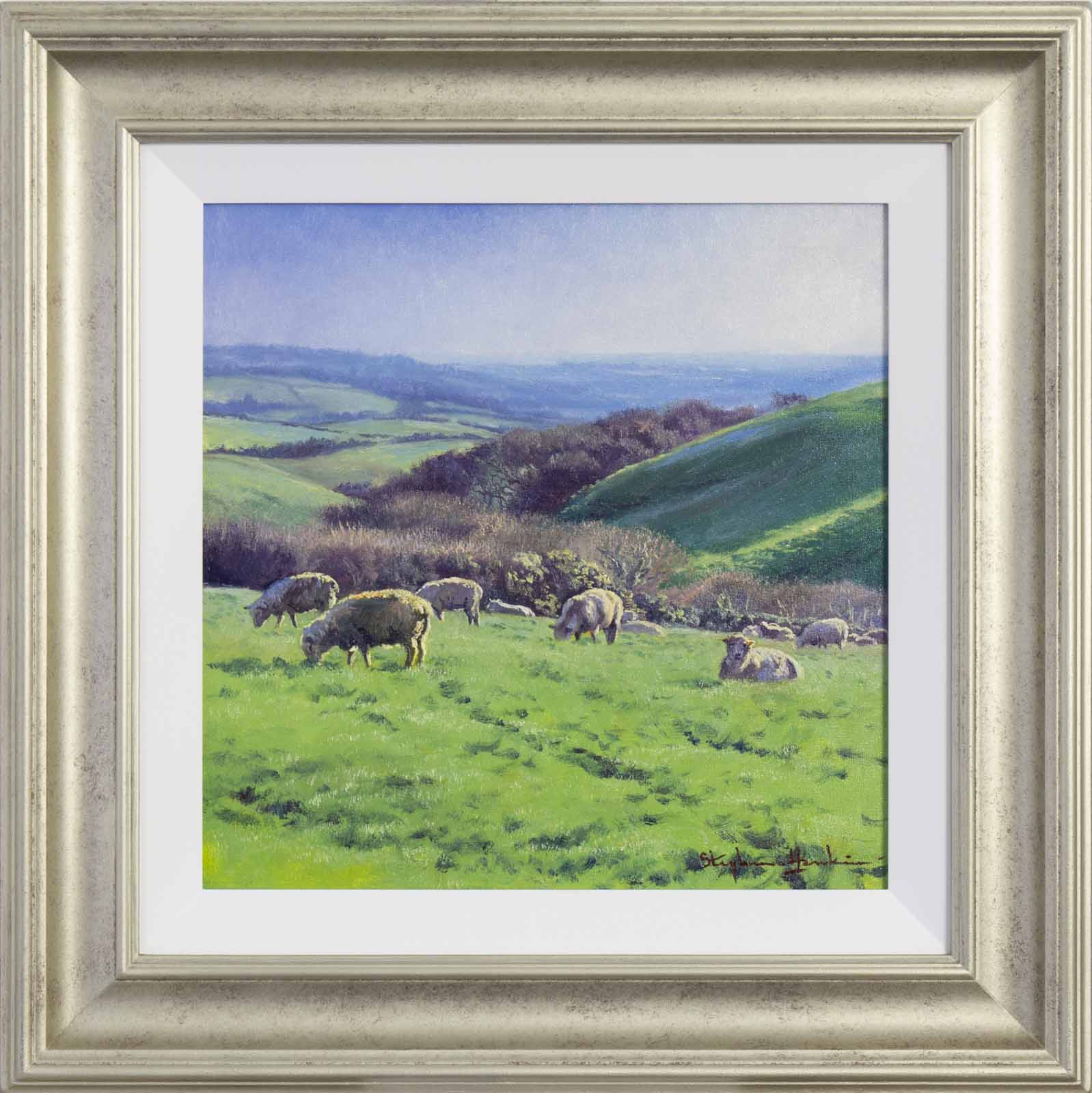 South Downs Pastures