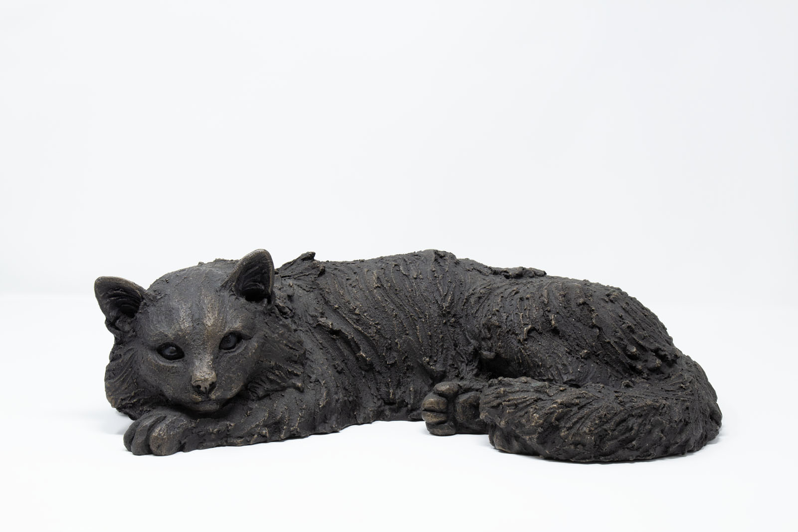 Beignet Sleeping Longhaired Cat Lifesize