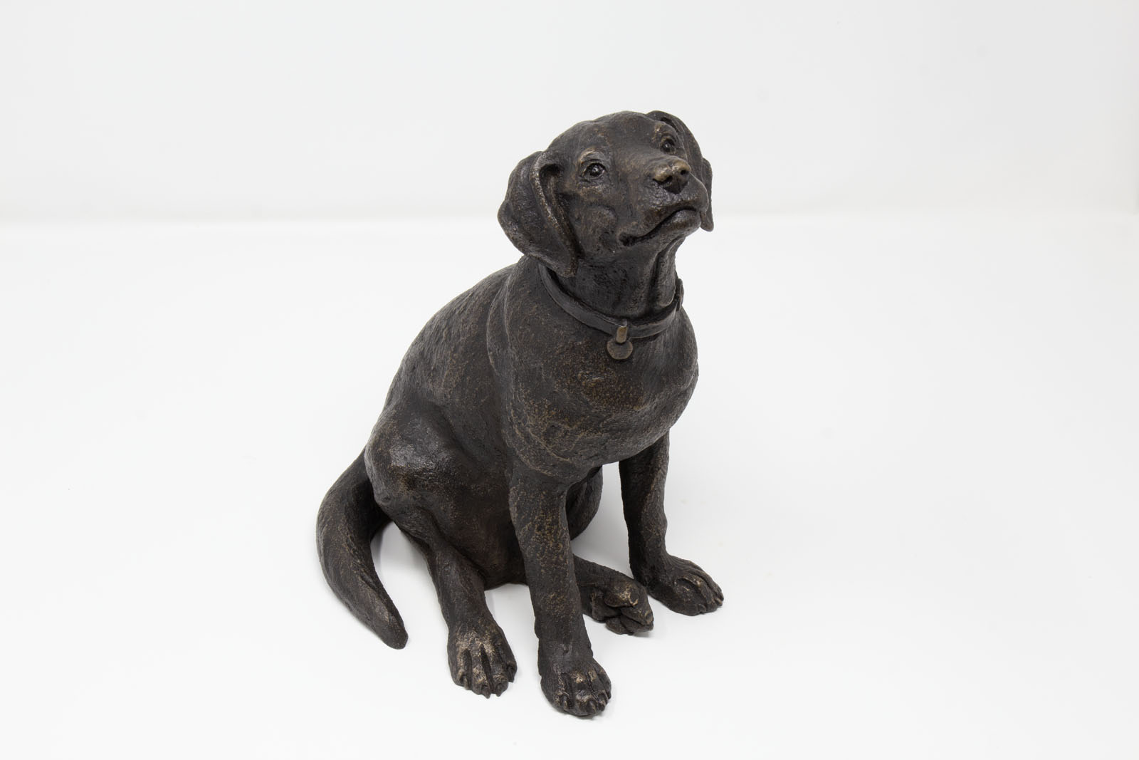 Bunty Black Labrador