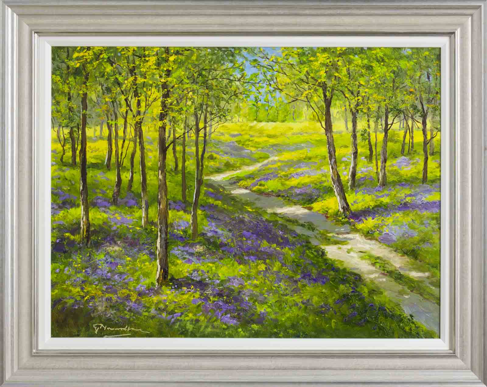 Bluebell Woodland Walk