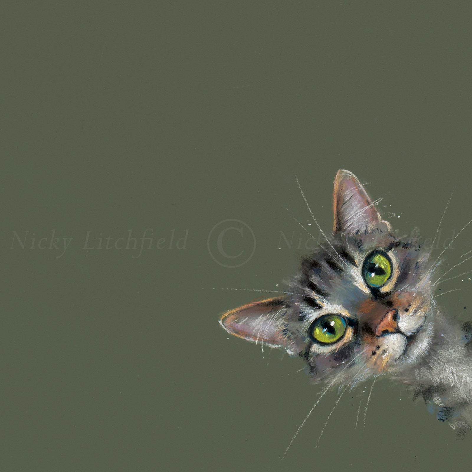 Playtime, Green Eyes Cat