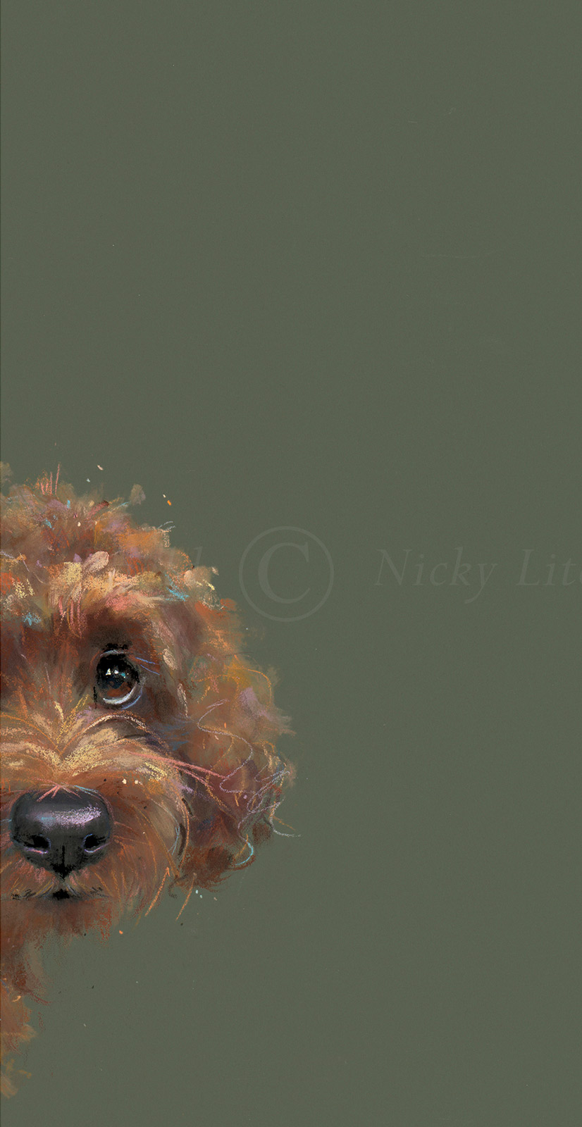 Taking A Peek, Cockapoo