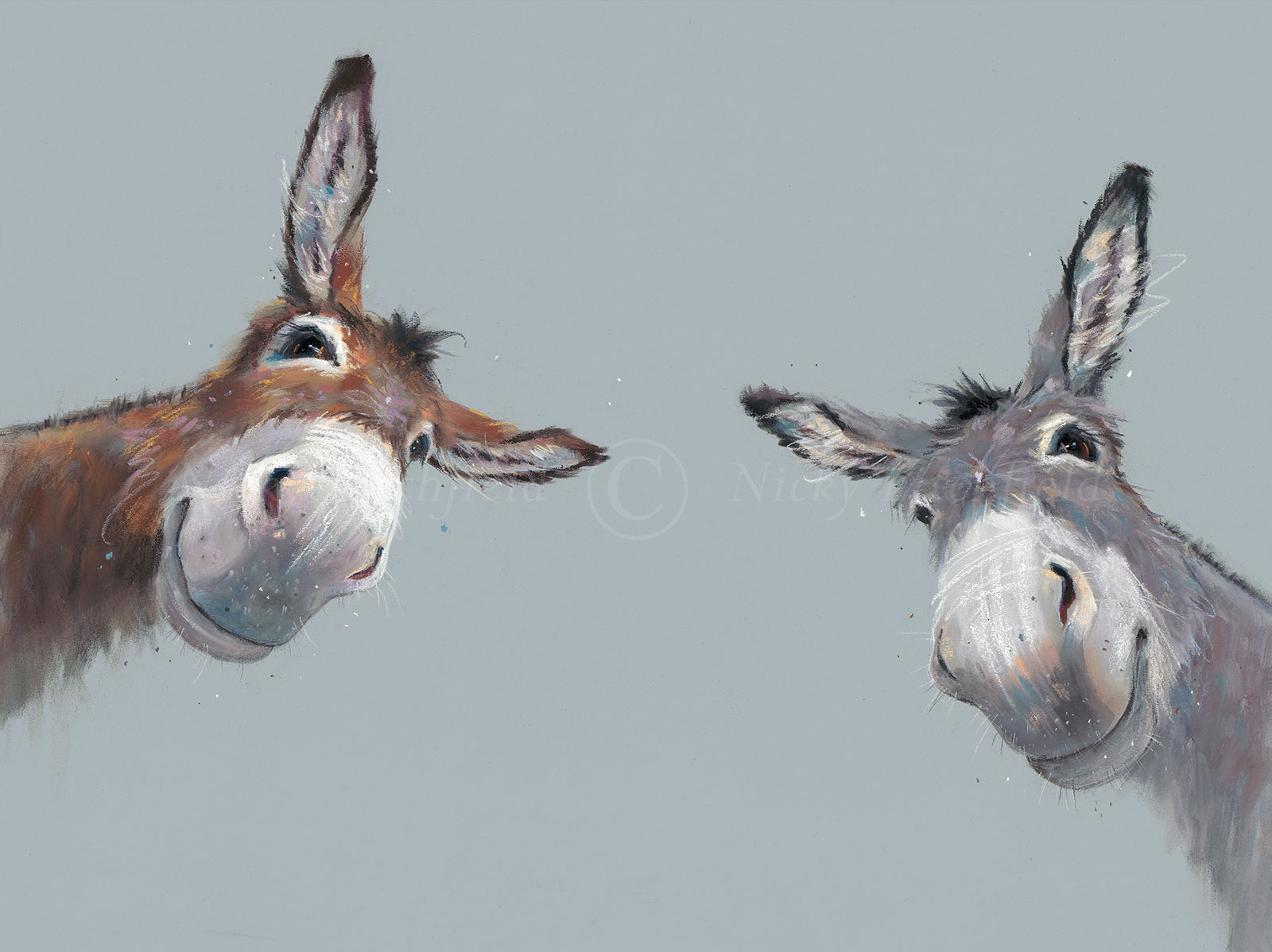 Double Trouble, Two Donkeys