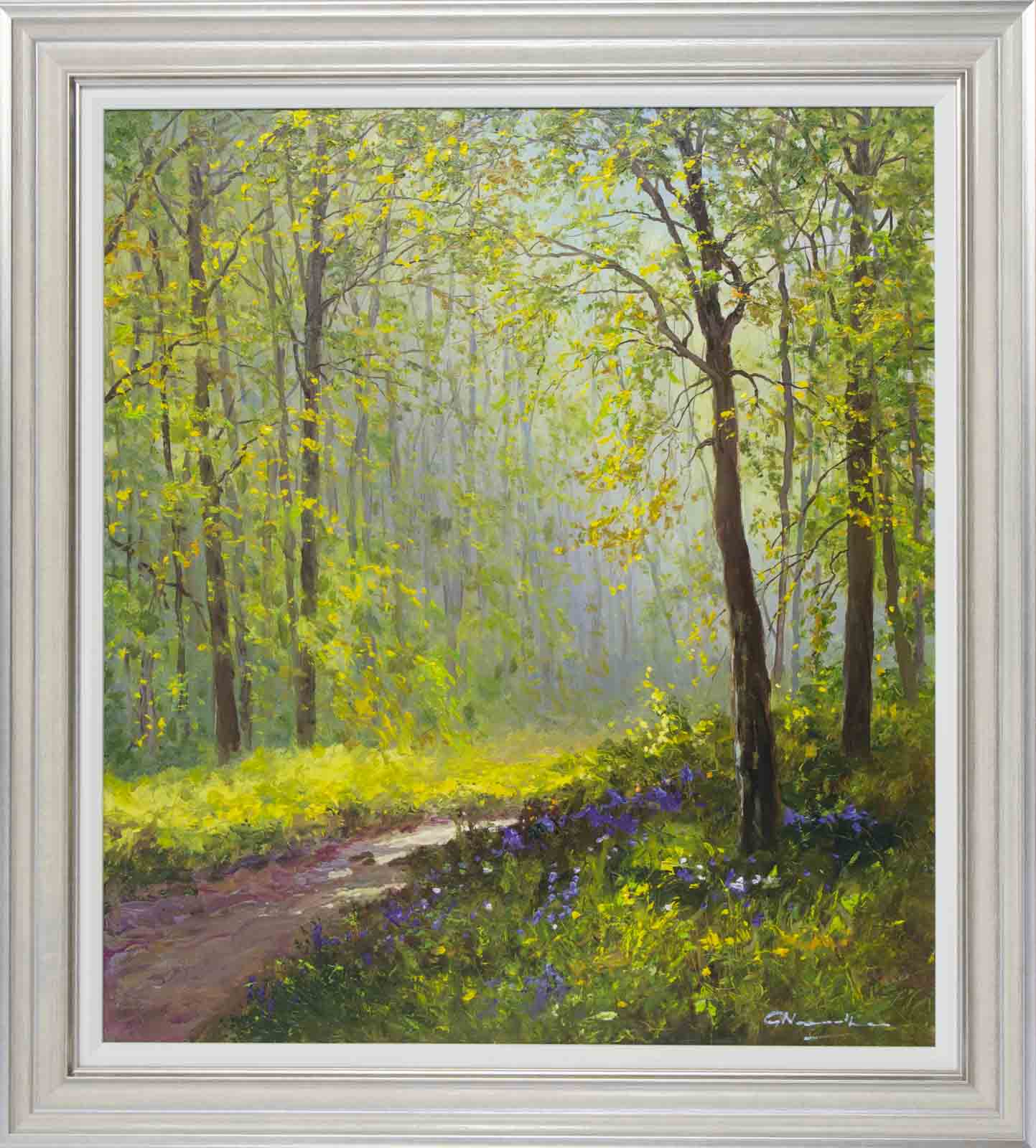 Early Morning Forest Walk, Springtime