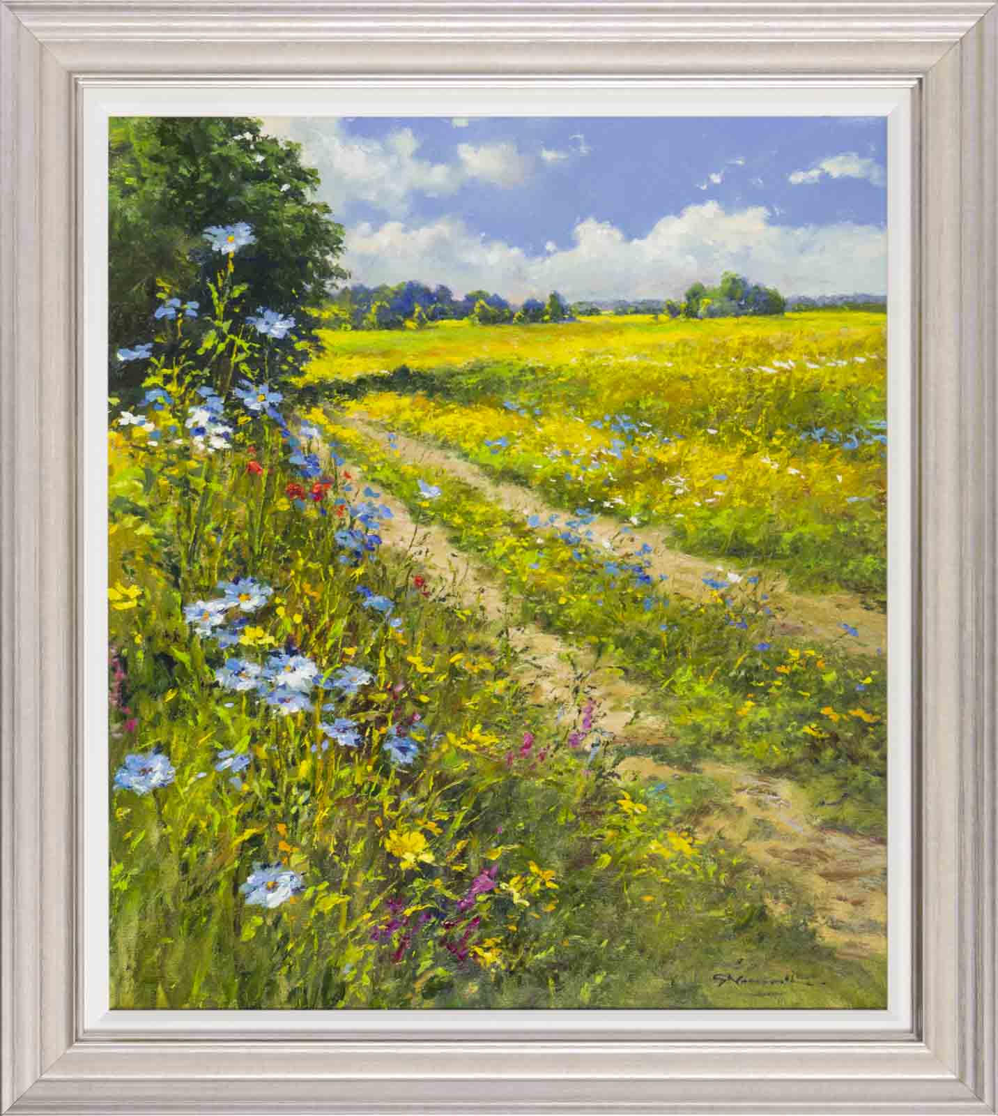 Summer Wild Flowers, Sussex