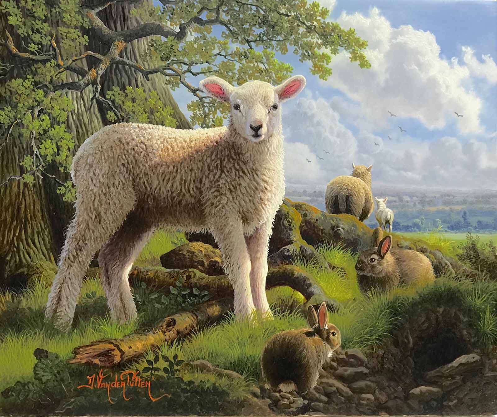 Spring Lamb and Friends