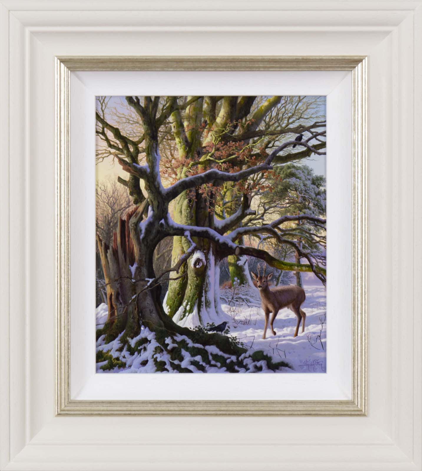 Roe Deer in Beech Wood