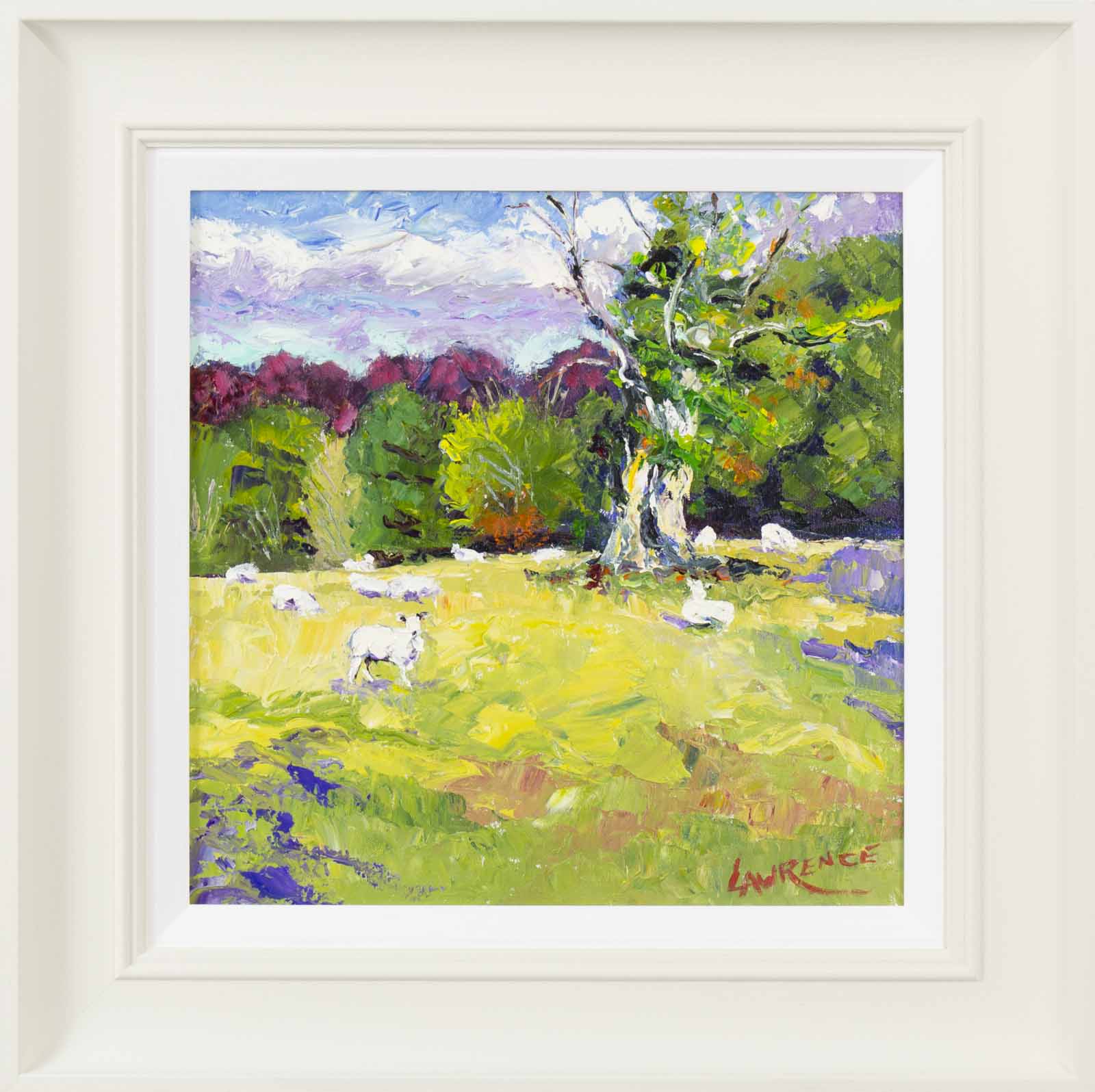 Old Oak Tree, Telegraph Hill