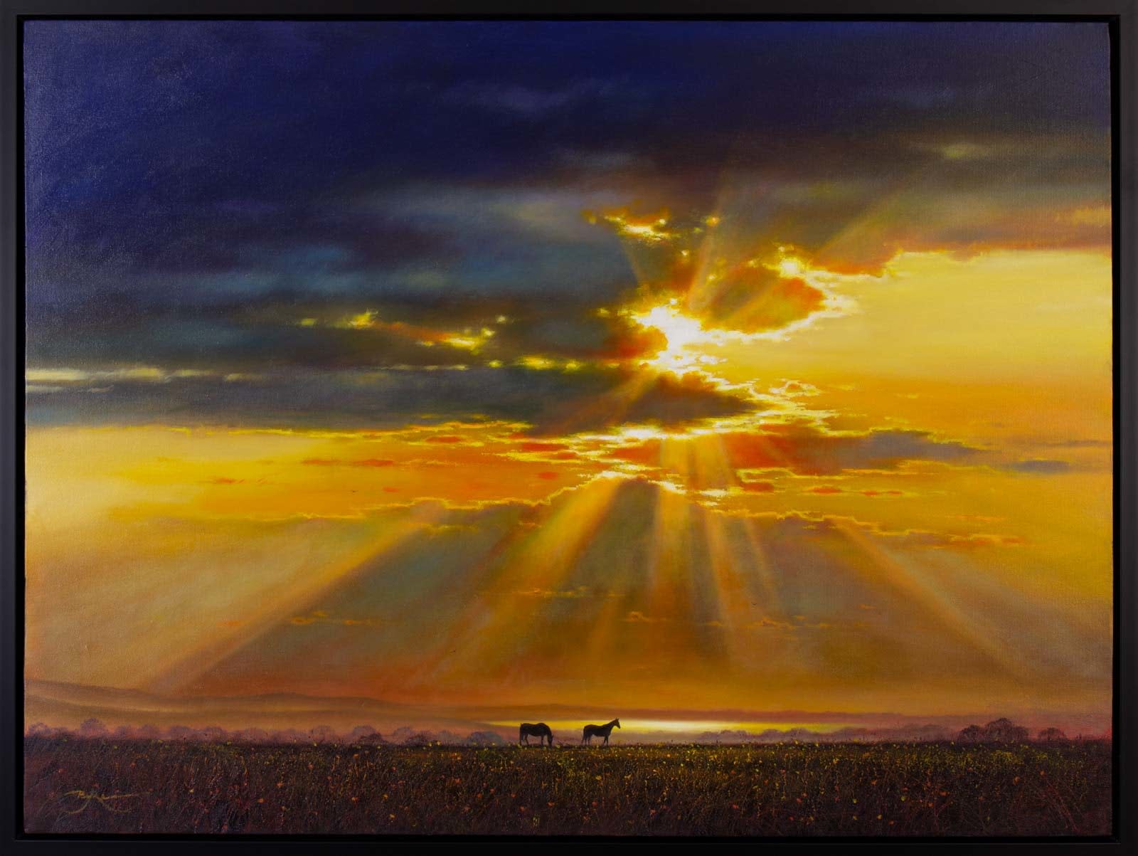 Everything the Light Touches