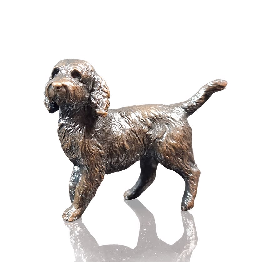 Small Cockapoo Dog Standing (1152)