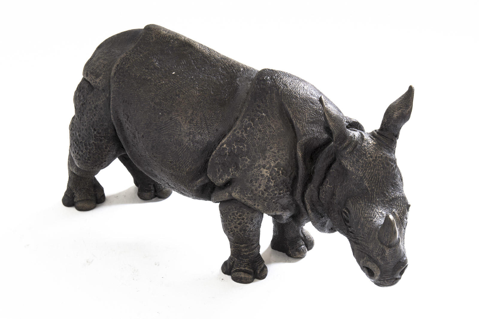 Asian One Horned Rhino Mother