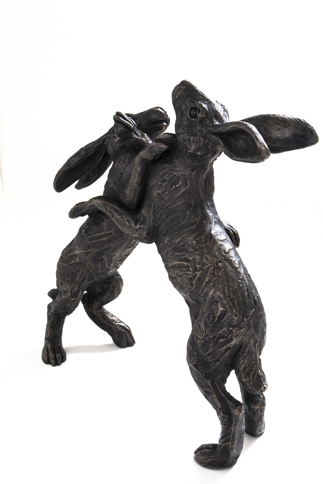 Small Hares Boxing
