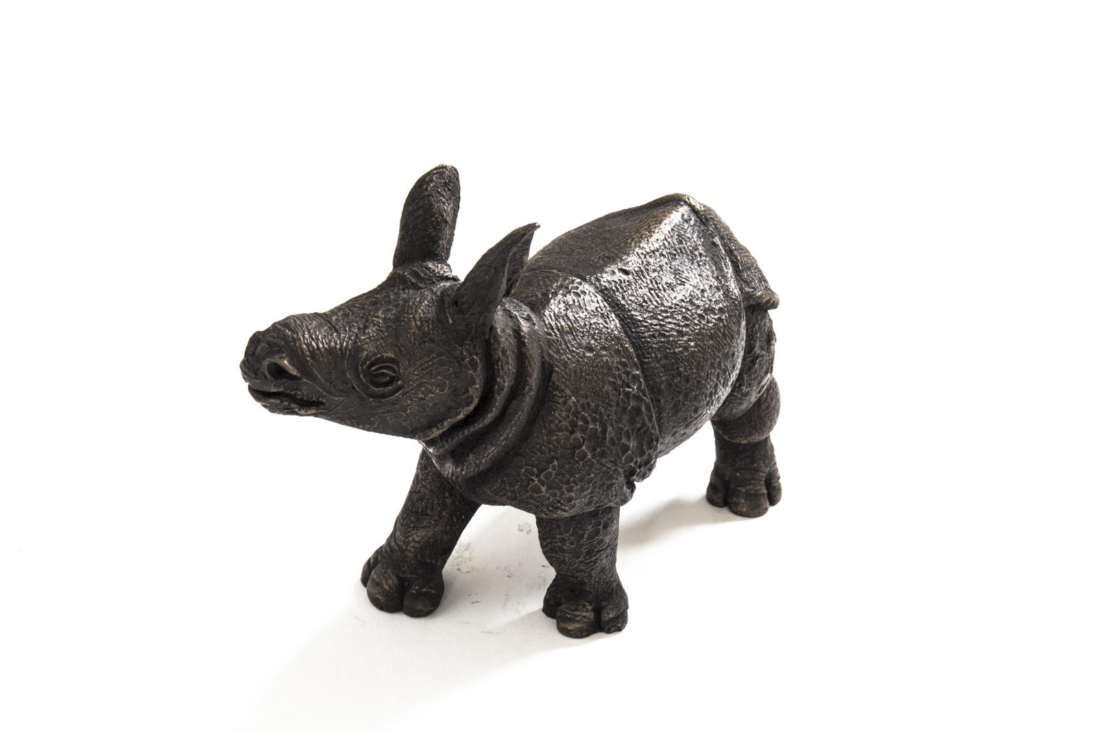 Asian One Horned Rhino Calf