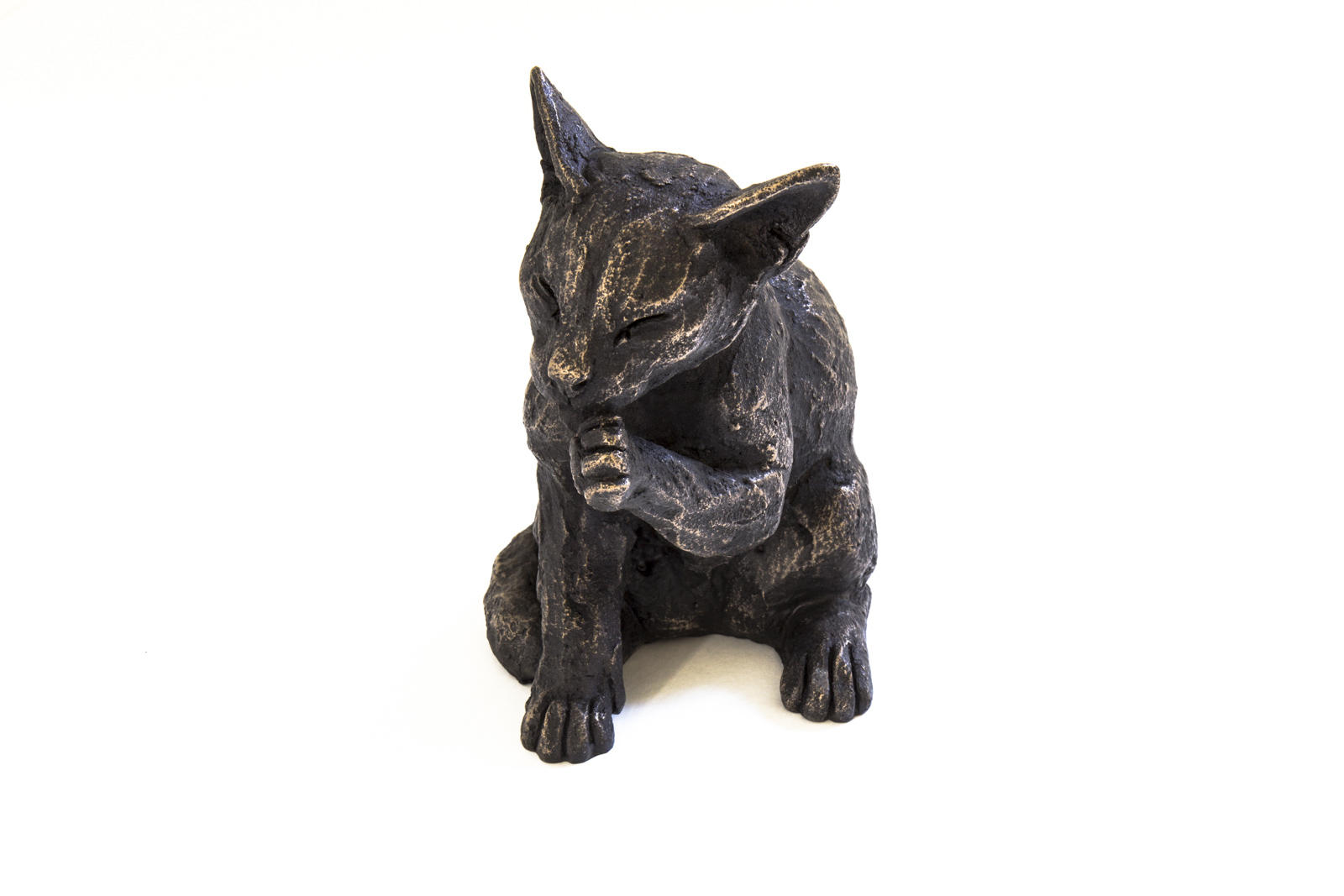 Hattie Washing Kitten