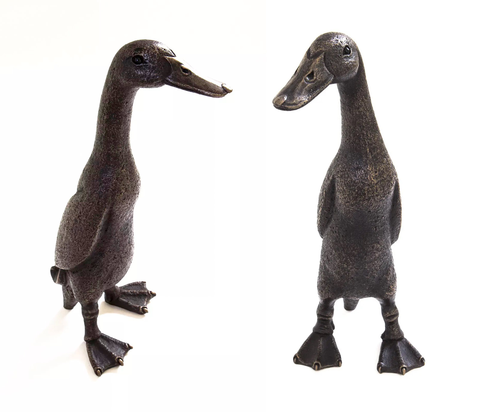 Eric & Buzz, Indian Runner Duck Bundle