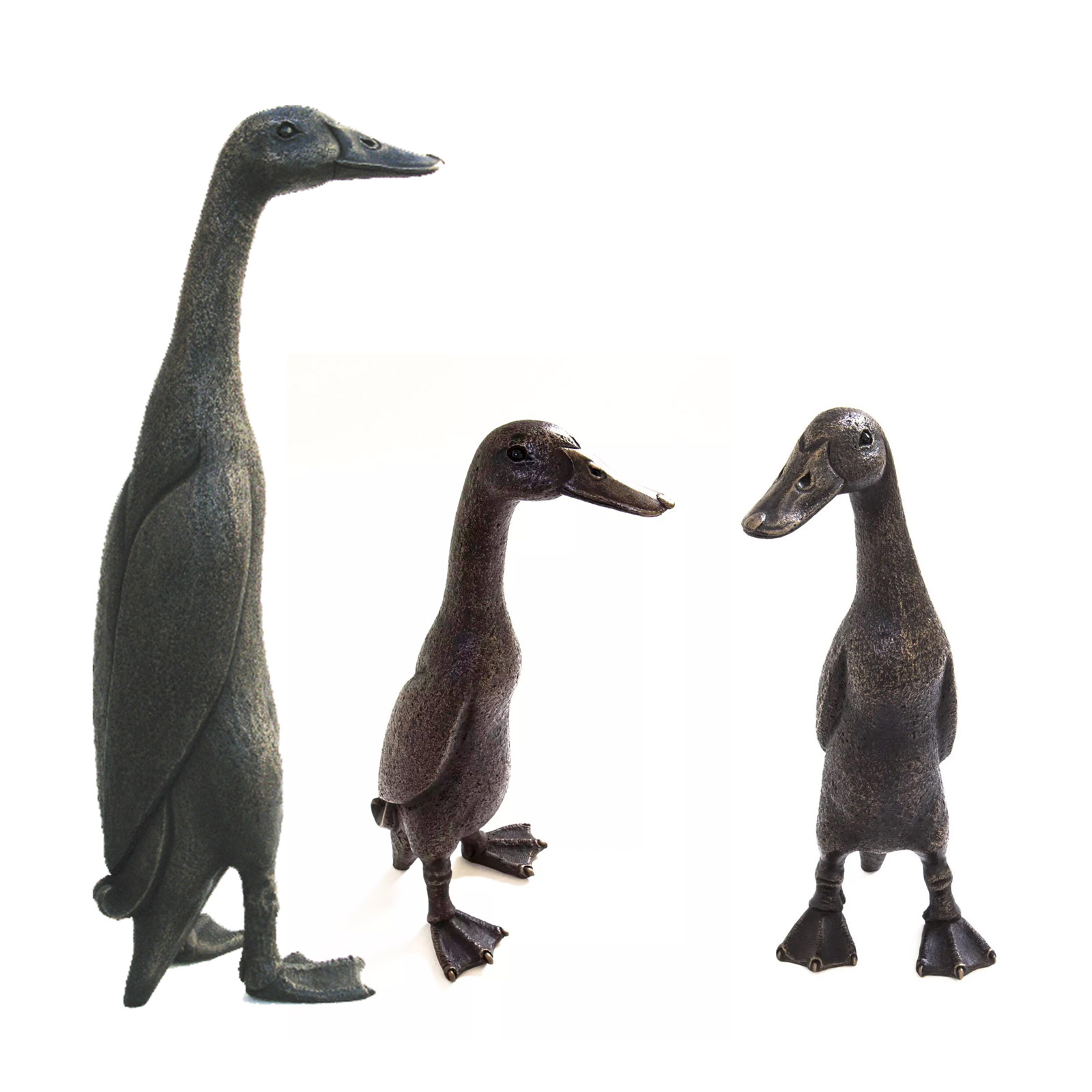 Three Indian Runner Ducks Bundle